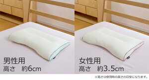 枕|ネムレール生島ヒロシの快眠健康枕約35×62センチ【生島ヒロシ/ラジオ/快眠/健康/洗える/ウオッシャブル/やわらか/ダストップ/汚れ/臭い/加齢臭/いびき/無呼吸/寝返り/ワイド/高め/低め/まくら/ピロー】【ギフトラッピング無料】【日本製】【N】