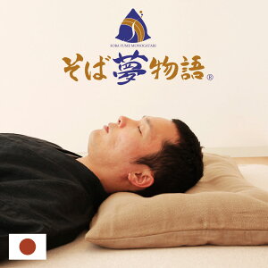 テレビ枕 枕 通販 価格比較 価格 Com