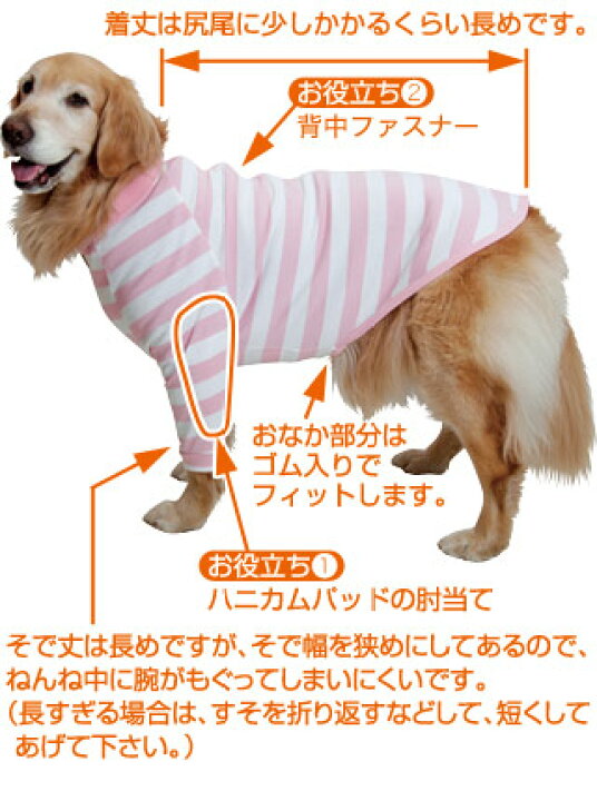 楽天市場 背中ファスナー 肘ハニカム当て付長袖ｔ 大型犬用介護ウェア アイアンバロン