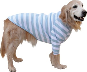 swt@Xi[tInjJĕtTy^pEFAz