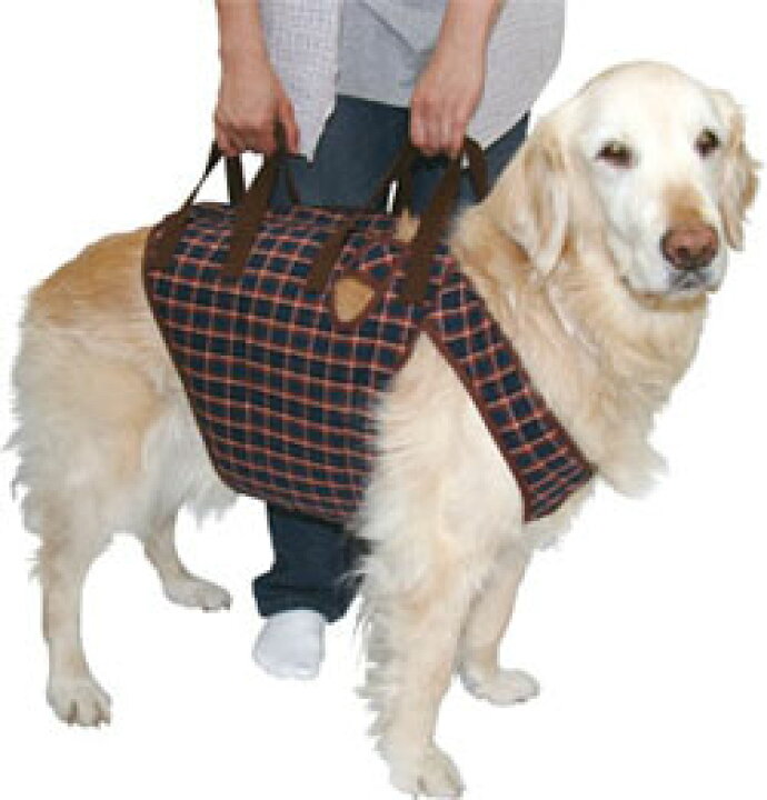 楽天市場】【大型犬用介護用品】着たままねんねのハニカム胴着 