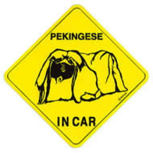 ԗp IN CAR XebJ[FyLj[YyyΉz