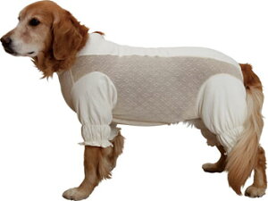 I[KjbNRbg bVVؑ֕^pyyΉz