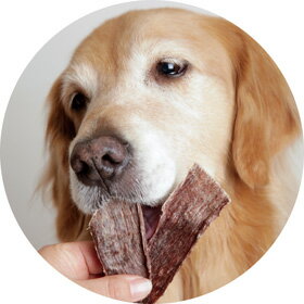 楽天市場 北海道産 ビーフジャーキー 犬のおやつ アイアンバロン