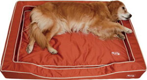 PEPPYiysCj RۖhLX}[gXNGAxbh yLTCYE^pz[[J[]