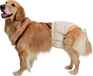 PETIO おむつパンツ(尻尾穴サイズ調節機能付)<大型犬用>:3Lサイズ【あす楽対応】