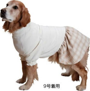 {I[KjbNRbg xAIt^[g`FbNs[X^pyyΉz