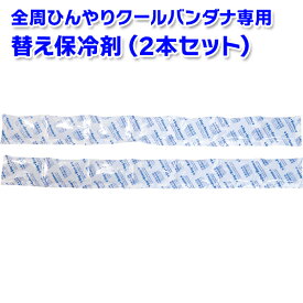 全周ひんやりクールバンダナ 専用 替え保冷剤＜あす楽対応＞