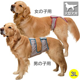 マナーホルダー アクティブ 3Lサイズ［男の子用/女の子用］【大型犬向け】