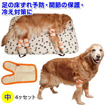 楽天市場】アイアンバロン 介護 カートの通販