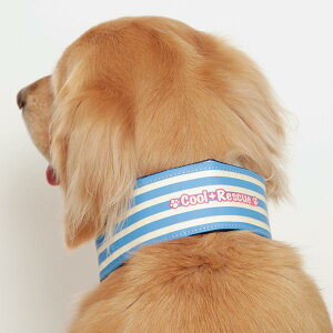 SЂN[o_iiۗ2{tjy^zMǑ΍E΍