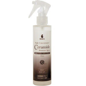 QIXiLbNXj BASICS ZxZ~hCX`[Xv[ypzyΉ