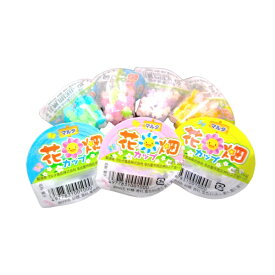 マルタ食品 金平糖 花畑カップ 40個入×1パック