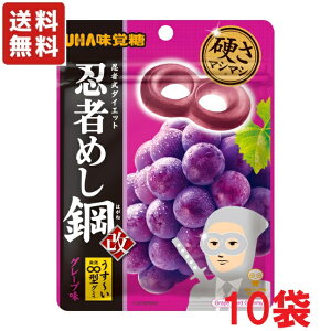 送料無料 UHA味覚糖 忍者めし鋼 グレープ味 45g×10袋 メール便