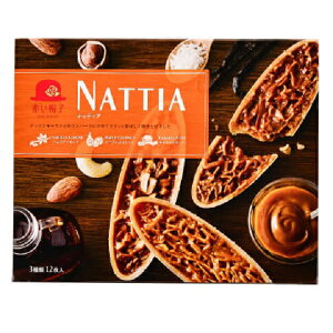 ڂ`{ ԂXq ibeBA(NATTIA) 12×1