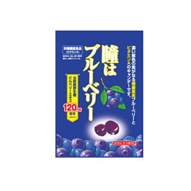 【卸価格】瞳はブルーベリー 83g 川口製菓 【特価】