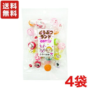  hbvX ǂԂhLfB 100g×4 [