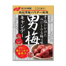 【特価】男梅キャンデー 袋タイプ【ノーベル製菓】熱中症対策に！