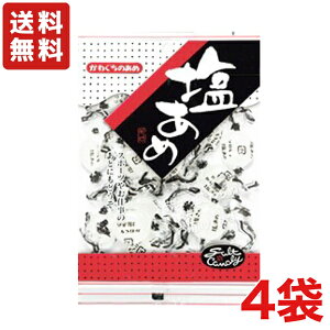 送料無料 川口製菓 塩あめ 143g×4袋 メール便