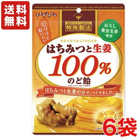 【送料無料】扇雀飴本舗 はちみつと生姜100％のど飴 50g×6袋【メール便】