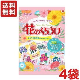 【送料無料】花のくちづけ 135g×4袋 春日井製菓【メール便】