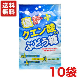 【送料無料】大丸本舗 20粒塩クエン酸入りぶどう糖 ×10袋