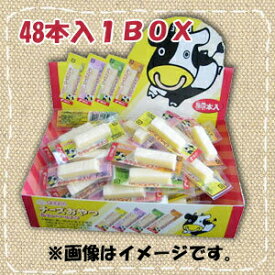 チーズおやつ 扇屋食品 48本（箱なし）【送料無料】【メール便】
