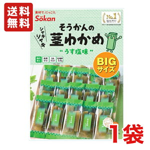 s ̌s킩  BIGTCY 217g×1 [