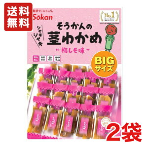  s ̌s킩 ~ BIGTCY 217g×2 [