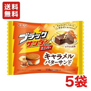  Ly ubNT_[~jo[ Lo^[Th 118g×5 N[֔ziʓr330~j