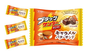 Ly ubNT_[~jo[ Lo^[Th 118g×1 ċGN[֔ziʓr330~`j