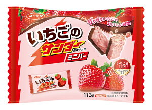 Ly ̃T_[ ~jo[ 113g×1 N[֔ziʓr330~`)