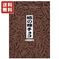 送料無料 寺沢製菓 柿の種チョコ 240g×1袋 メール便