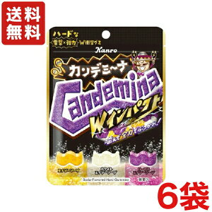 �������� �J���� �J���f�~�[�i W�C���p�N�g 72g×6�� ���[����