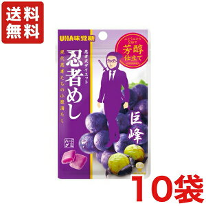  UHAo E҂߂  20g×10 [