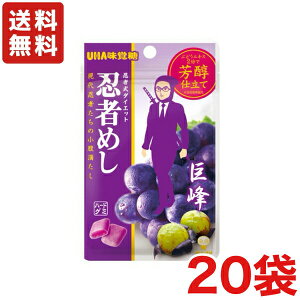  UHAo E҂߂  20g×20 [