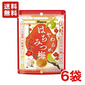  J 炩݂͂~ 40g×6 [