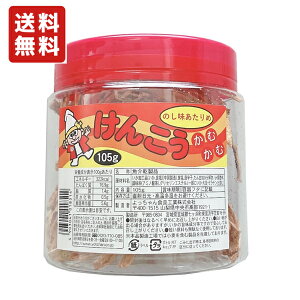 񂱂ނ ̂ 105g×1|bg ʉَq 񂱂KAMU KAMU(񂱂JJ) yz