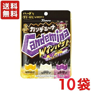 �������� �J���� �J���f�~�[�i W�C���p�N�g 72g×10�� ���[����