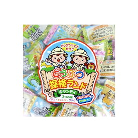 【送料無料】1kg入 動物探検ランド キャンディ マルエ製菓【業務用 飴】