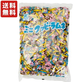 【送料無料】1kg ミニクッピー ラムネ カクダイ製菓 業務用 個包装 お菓子 大量