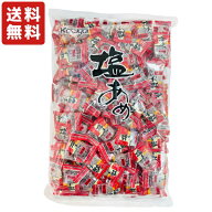 送料無料 春日井製菓 1kg 塩あめ 約150個前後入×1袋