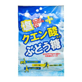 【特価】塩クエン酸入りぶどう糖　20個包装【大丸本舗】熱中症対策にも！