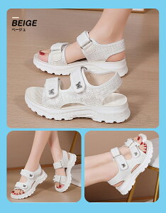 ySizT_ fB[X  T|T_ EH[LOV[Y X|[cT_ ܐȂ T_ Xb| ƂȂ Cq[ NbV r Xb| 