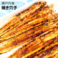 瀬戸内海　焼穴子 [送料無料]兵庫県産の高級穴子解禁！秘伝のタレで焼き上げます。あなご　穴子　焼き穴…