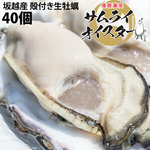 殻付き 牡蠣 冷凍の通販 価格比較 価格 Com
