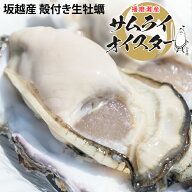 【小振りでも、プリップリ！】坂越産 殻付き生牡蠣 [送料無料]生食OK★熱を加えても縮まない！臭みがなく…