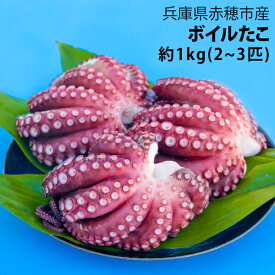楽天市場 赤穂産 牡蠣の通販
