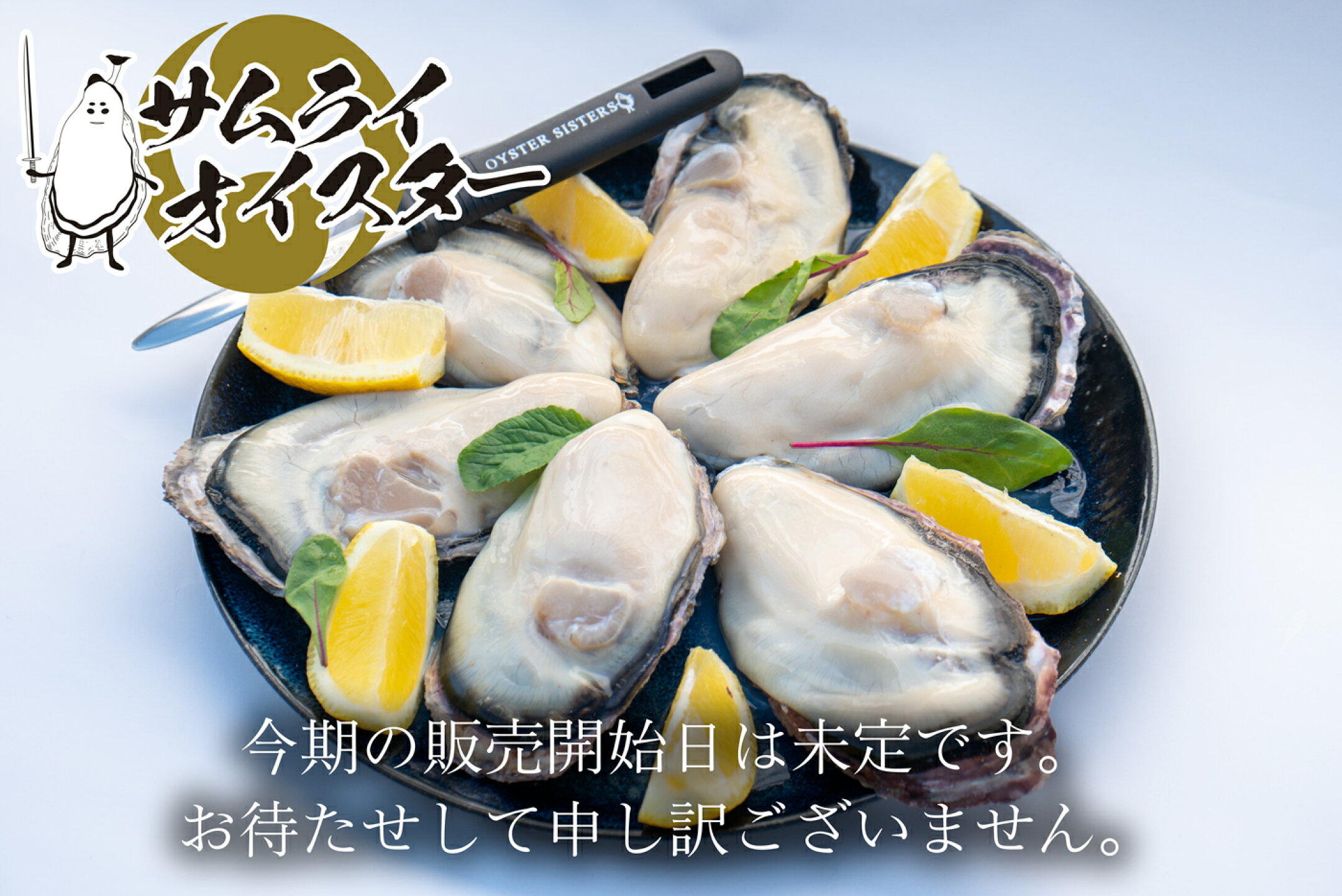 11月中旬販売開始予定！ もうしばらくお待ちください