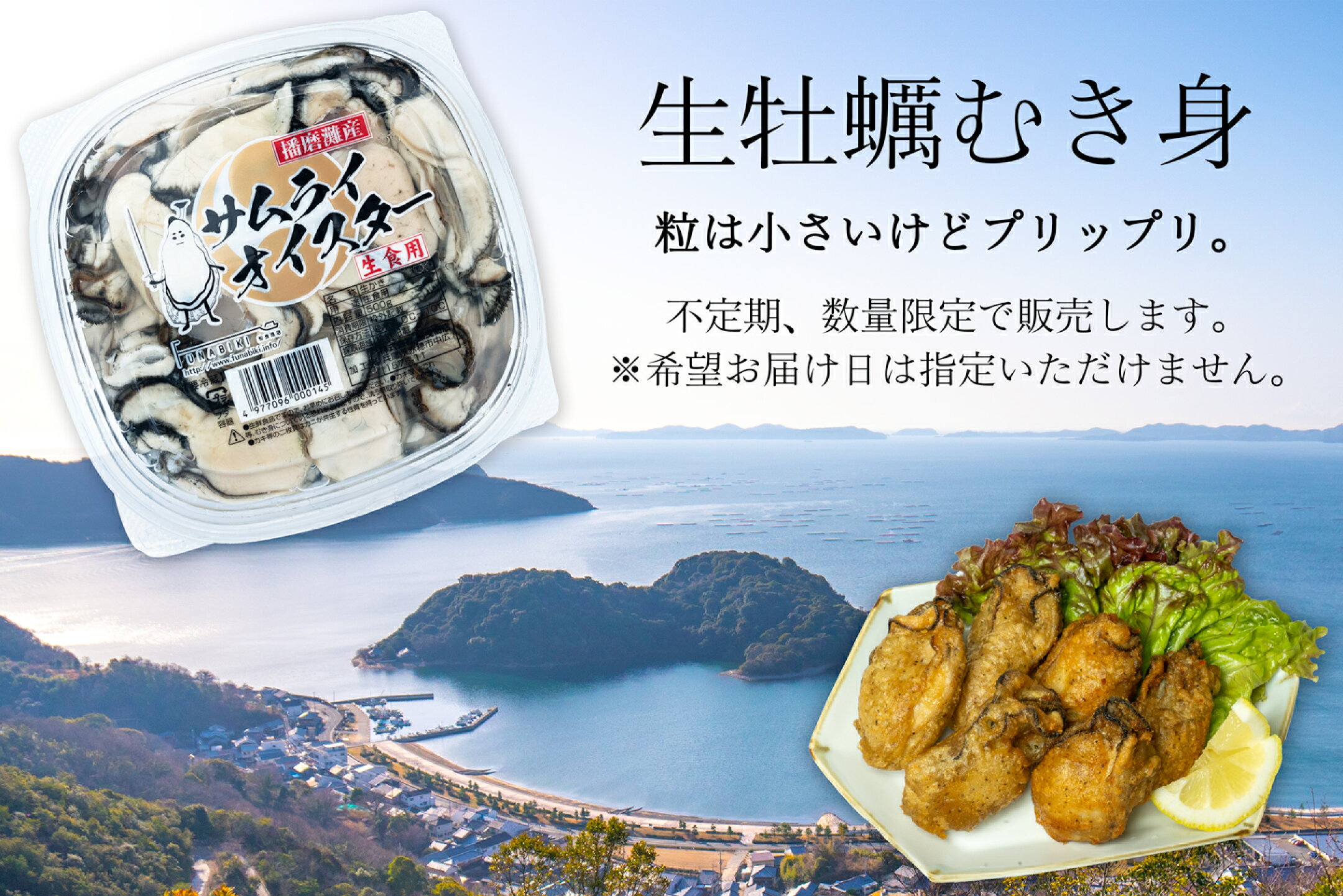 生牡蠣むき身  粒は小さいけど味はGood！   不定期、数量限定で販売します。  ※希望お届け日は指定いただけません。